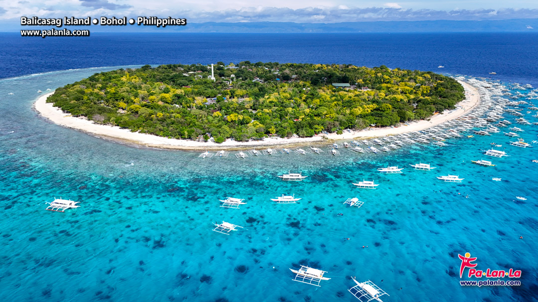 Balicasag Island